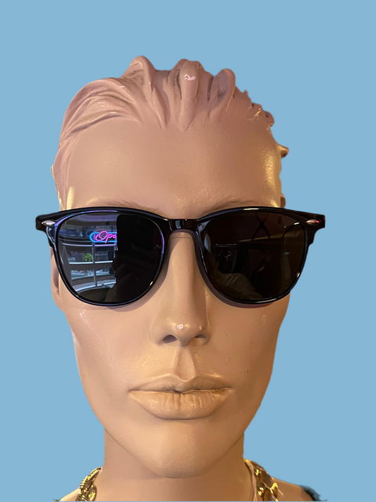 Wayfarer style sunglasses